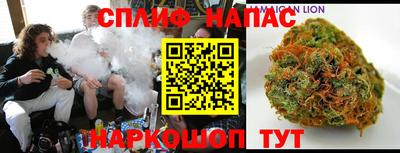 таблы Будённовск