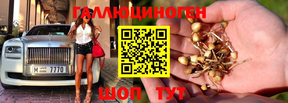 Псилоцибиновые грибы прущие грибы  Вход с VPN  Мурманск 